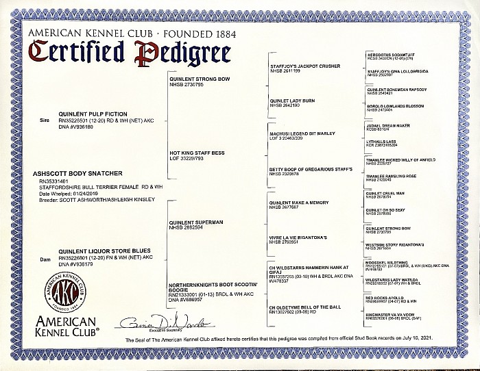 Lexi’s Pedigree